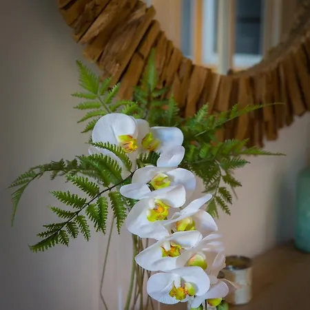 Holidays2malaga Alameda Premium Appartement